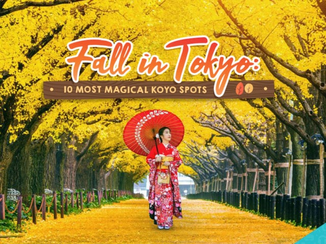 Tokyo Autumn Leaves: 10 Best Koyo Spots for a Beauti-Fall Experience!