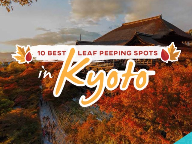 Autumn Colors in Kyoto: 10 Best Leaf Peeping Spots