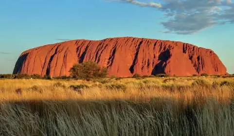 The massive red sandstone monolith of Uluru rises above a field of dry, golden desert grasses under a clear blue sky with a few light clouds in the Australian Outback.
