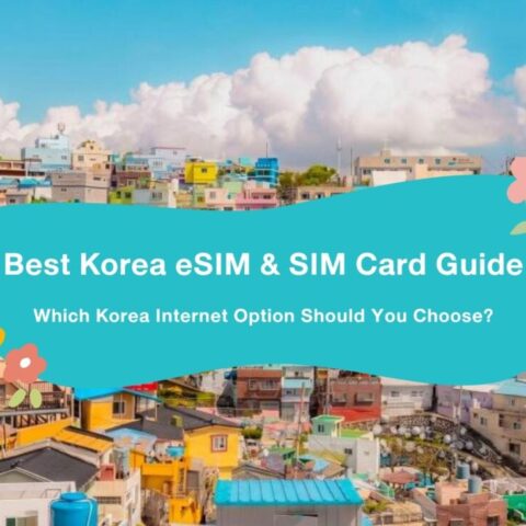 Best Korea eSIM & SIM Card Guide: Which Korea Internet Option Should You Choose?
