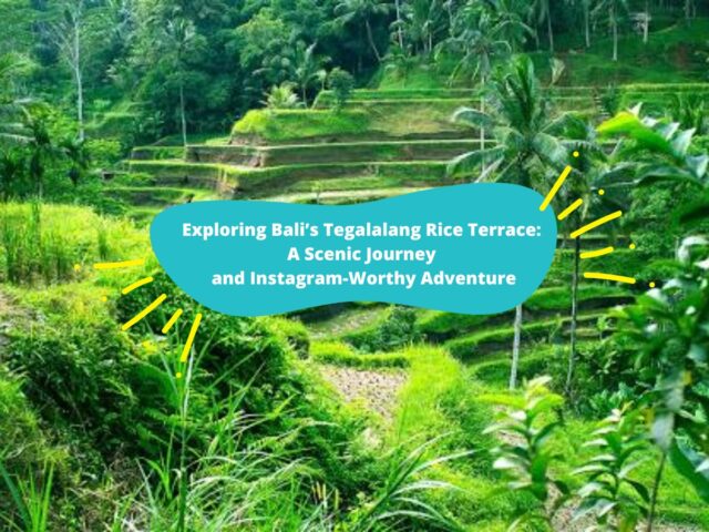 Exploring Bali’s Tegalalang Rice Terrace: A Scenic Journey and Instagram-Worthy Adventure