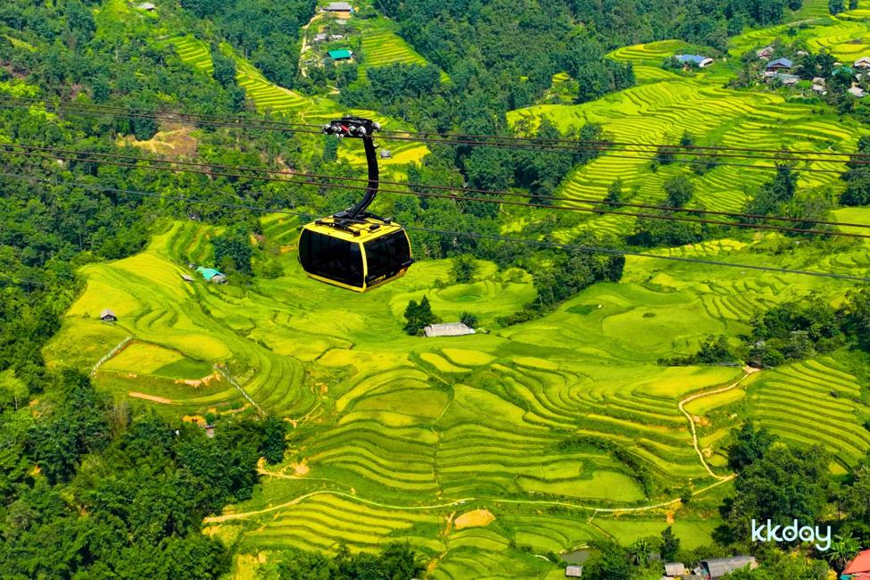 A high-angle aerial shot of a yellow Fansipan cable car cabin suspended on wires over vast, vibrant green terraced rice fields and lush mountain forests in the Muong Hoa Valley of Sapa, Vietnam