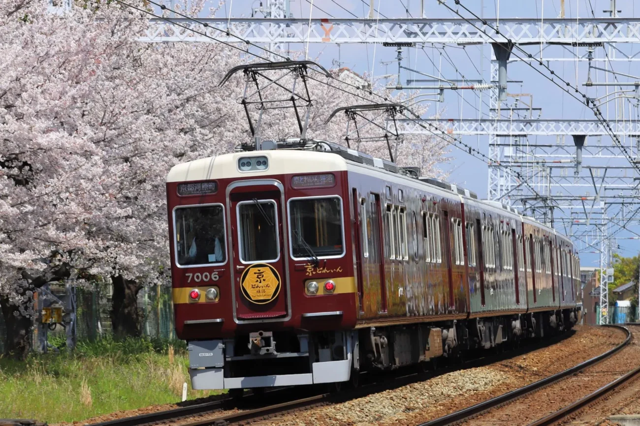 A maroon Hankyu Kyo-Train Garaku tourist train traveling along a curved track next to blooming pink cherry blossom trees in Japan.