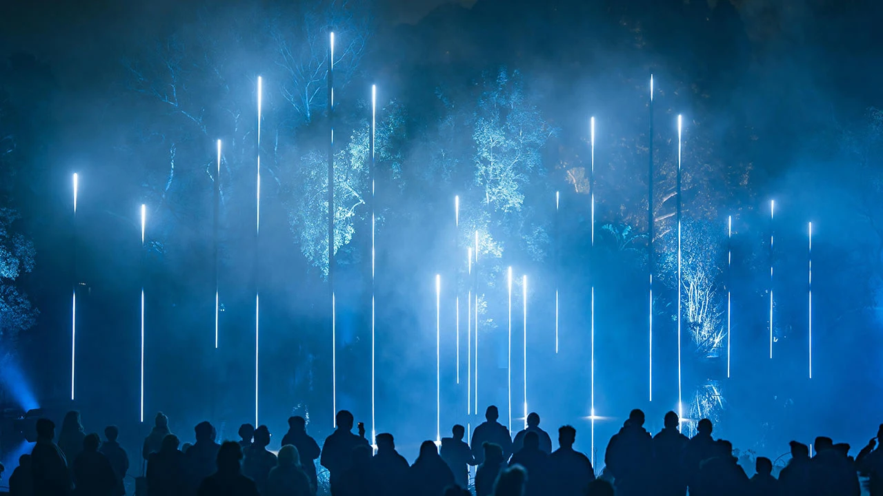 A large crowd of people viewed from behind as silhouettes watching an outdoor light installation at night.