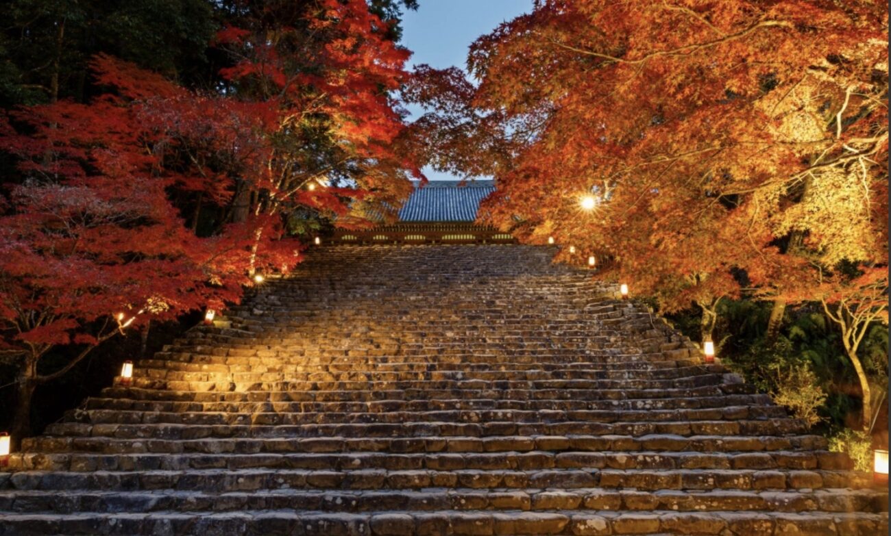 a picture of stone stairs of jingoji temple takao kyoto