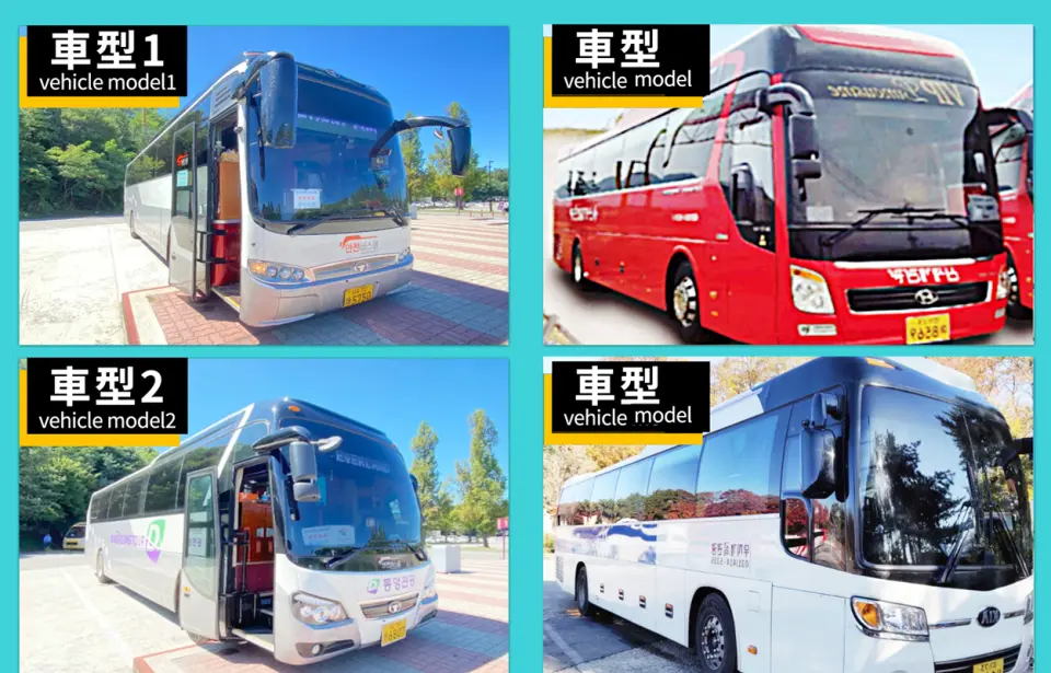 A four-panel grid showcasing various large tour buses and shuttle vehicle models available for transportation to Everland Theme Park.