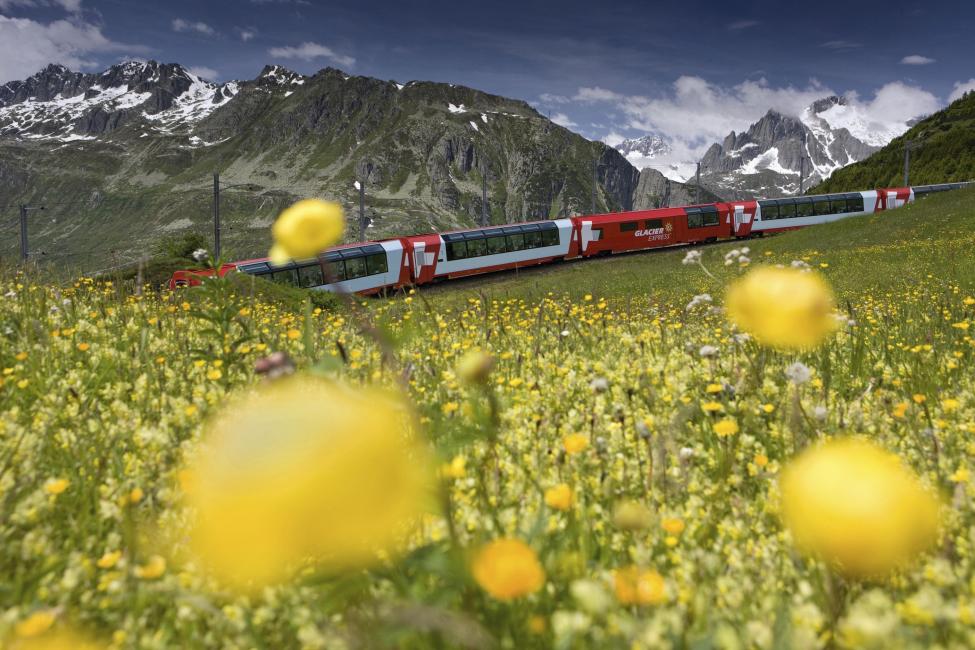 Glacier Express train Swiss Alps wildflowers scenic Switzerland rail journey